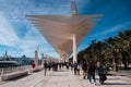 Pergolas of Victoria in Malaga, Spain