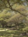 Perhaps there's a quaint bench strategically placed under the spreading branches of a tree.