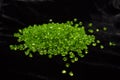 Peridot chrysolite olivine natural gemstone.