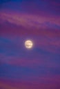 Perigee Moon Supermoon surrounded by purple clouds at sunset with a dark blue sky