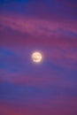 Perigee Moon Supermoon surrounded by purple clouds at sunset with a dark blue sky