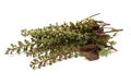 Perilla herb seed used in traditional,chinese herbal medicine