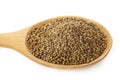 Perilla herb seed