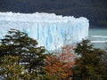 Perito Moreno