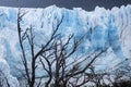 Perito moreno glaciar Royalty Free Stock Photo