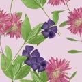 Periwinkle, Aster , Michaelmas daisy. Seamless pattern texture o