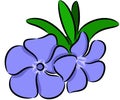 Periwinkle Flower Royalty Free Stock Photo