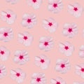 Periwinkle flower multiplied on soft pastel pink background