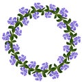 Periwinkle flowers line in a circle