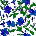 Periwinkle flowers seamless pattern. Vector stock illustration eps10. hand drawing.