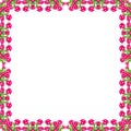Periwinkle frame Royalty Free Stock Photo