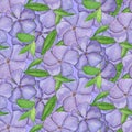 Periwinkle watercolor flower pattern. Close-up pattern of periwinkle flowers Purple watercolor wild periwinkle flowers