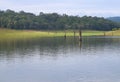 Periyar Lake Full of Water, Thekkady, Kerala, India Royalty Free Stock Photo