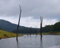 Periyar Lake with Hills and Greenery in Background on a Cloudy Day, Thekkady, Kerala, India Royalty Free Stock Photo