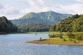 Periyar lake in Periyar National Park, Kerala, India Royalty Free Stock Photo