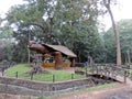 Periyar National Park, Kerala