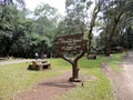 Periyar National Park forest, Kerala