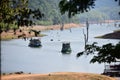 Periyar wildlife sanctuary thekkady