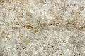 Perla classic travertine texture background Royalty Free Stock Photo