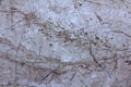 Perla classic travertine texture background Royalty Free Stock Photo