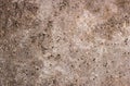 Perla classic travertine texture background Royalty Free Stock Photo