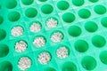 Perlite with green cup for hydroponics Royalty Free Stock Photo
