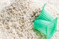 Perlite with green cup Royalty Free Stock Photo