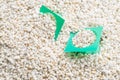 Perlite with green cup Royalty Free Stock Photo