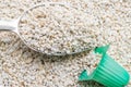Perlite with green cup Royalty Free Stock Photo