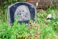 Perm Krai, Russia - 13 June 2019: Tombstone on the grave of the dog. The burial place of the dog