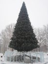 Perm, Russia, January 2017. The project is traveling in Russia. Great Christmas tree