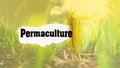 Permaculture is creating sustainable ways of living, regenerative agriculture, rewilding, and community resilience