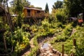 permaculture food forest with diverse layers of vegetation