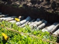 Permaculture trench construction blurry view with a Dandelion in foreground