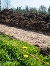 Vertical - Permaculture trench with shredded wood on top and green grass foreground