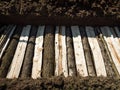 Permaculture trench side view of half long logs of wood