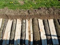 Permaculture trench side view of half long logs of wood with grass