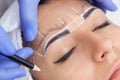 Permanent make-up for eyebrows of beautiful woman with thick brows in beauty salon Royalty Free Stock Photo