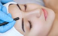 Permanent make-up for eyebrows of beautiful woman with thick brows in beauty salon.