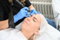 Permanent makeup on the eyebrows Royalty Free Stock Photo