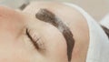 Permanent makeup. Permanent tattooing of eyebrows. Cosmetologist applying permanent make up on eyebrows- eyebrow tattoo. Royalty Free Stock Photo