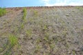 Permanent slope protection with grass using the hydroseed method. The grass is used to stabilize the slope structure and prevent s