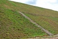 Permanent slope protection with grass using the hydroseed method. The grass is used to stabilize the slope structure and prevent s