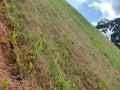 Permanent slope protection using the close turfing method to prevent erosion. Royalty Free Stock Photo