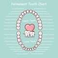 Permanent tooth chart record Royalty Free Stock Photo