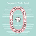 Permanent tooth chart record Royalty Free Stock Photo