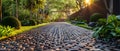 Permeable drivewaywalkway allows water drainage ecofriendly option for sustainable landscaping.