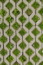 Permeable pavement with grass. Eco friendly parking Royalty Free Stock Photo