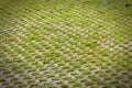 Permeable Pavers on a square Royalty Free Stock Photo