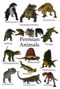 Collection of Primitive Permian Animals Royalty Free Stock Photo